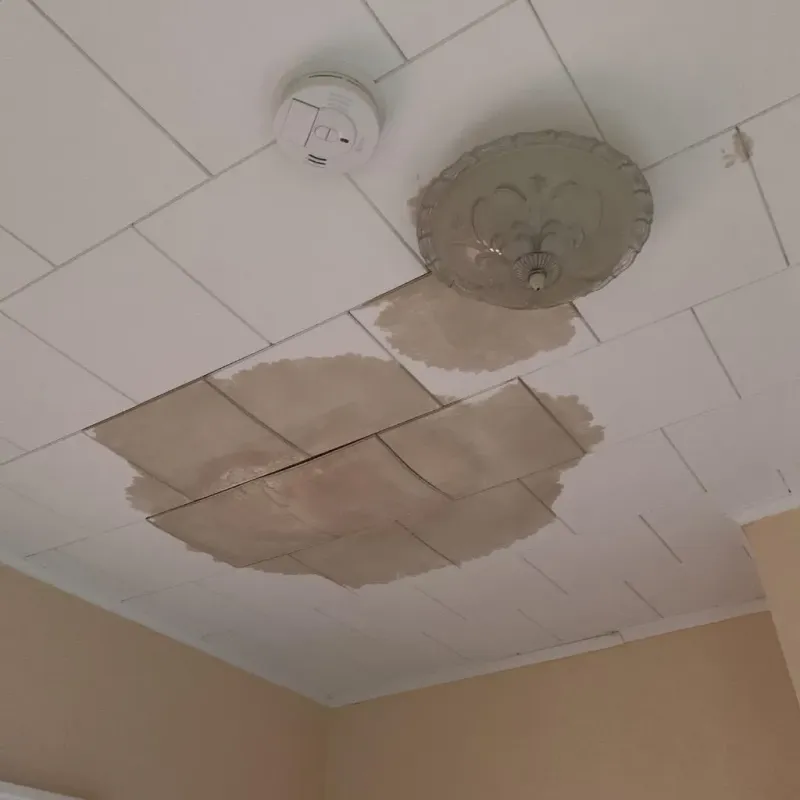 Ceiling Water Damage Repair in Dover Base Housing, DE