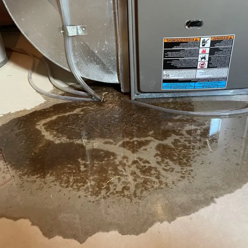Pipe Burst and Leak Restoration in Dover Base Housing, DE