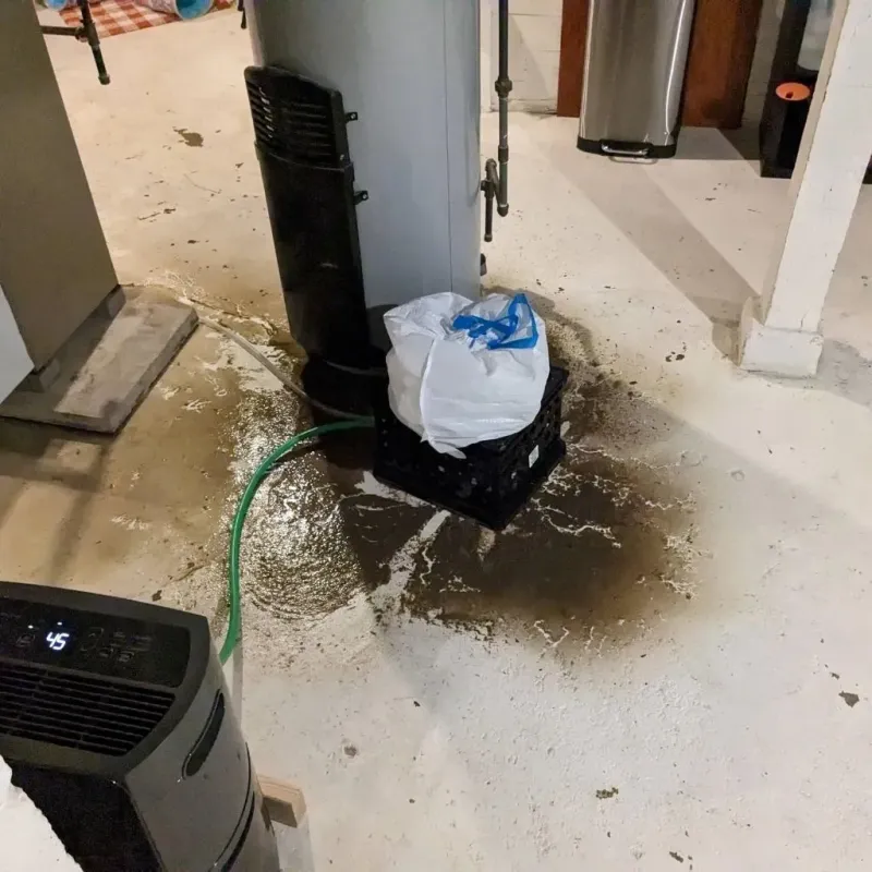 Sewage Backup Cleanup Service in Dover Base Housing, DE